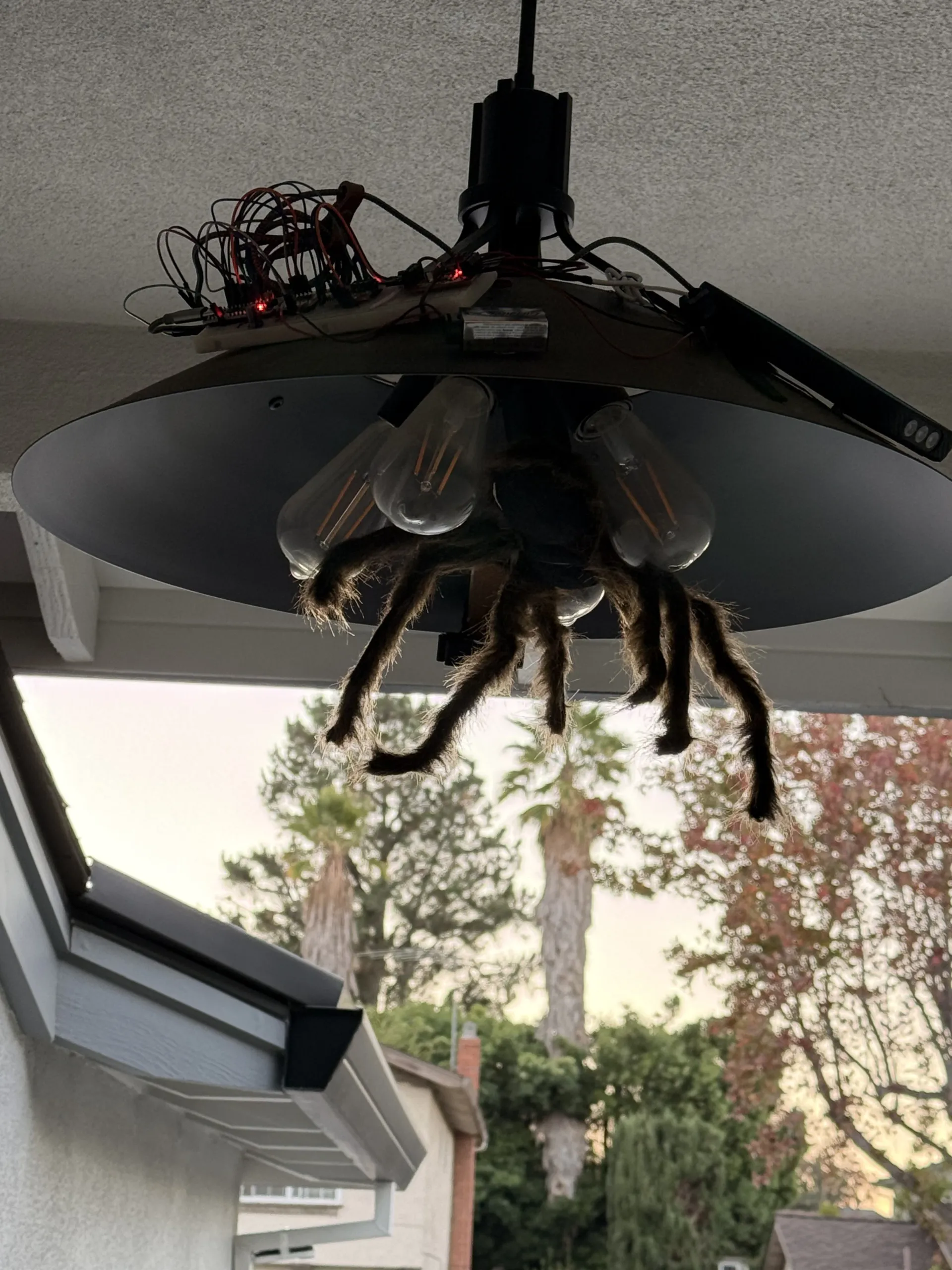 Halloween Spider project thumbnail