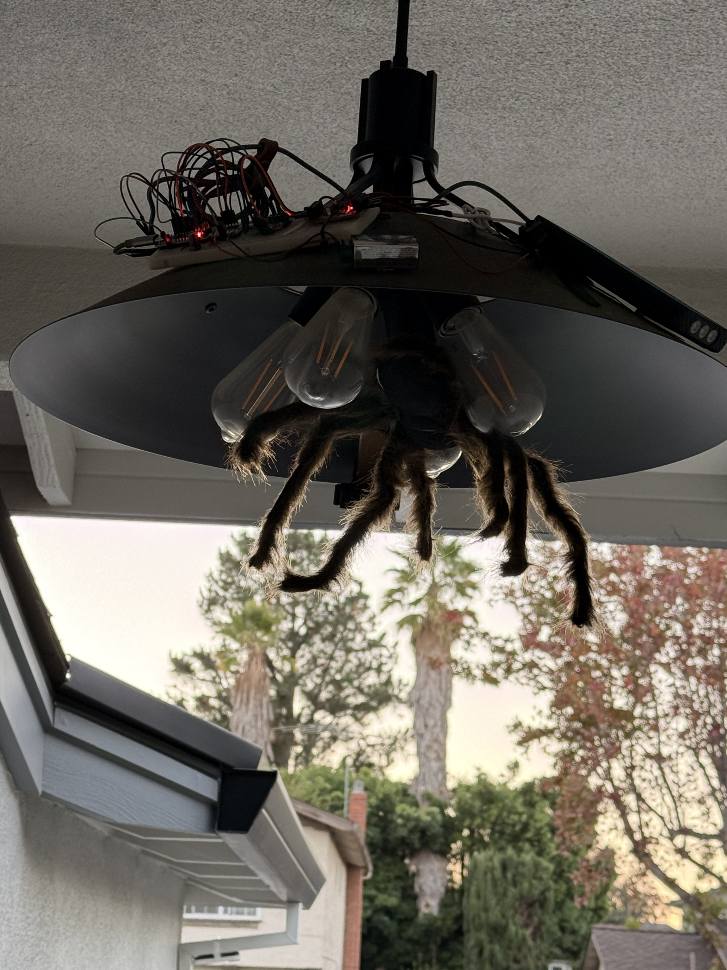 Halloween Spider thumbnail